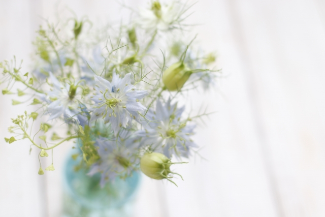 青い花束にぴったりな花の種類と花言葉まとめ