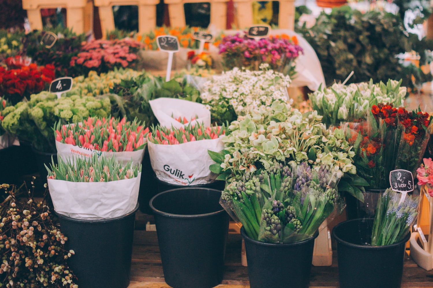 花を買うなら何曜日がいいの 花市場が開催される日に花屋に行こう