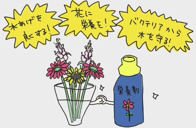 切花栄養剤 キープ・フラワー 2L×6本セット - 4