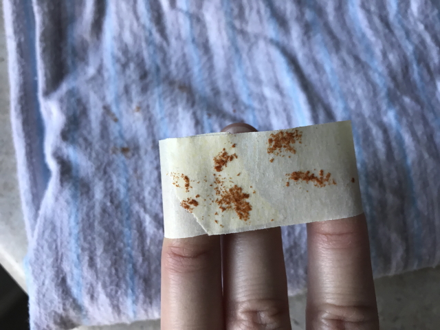 ユリ花粉の落とし方は 指や服やカーペットの染み抜きはこの取り方