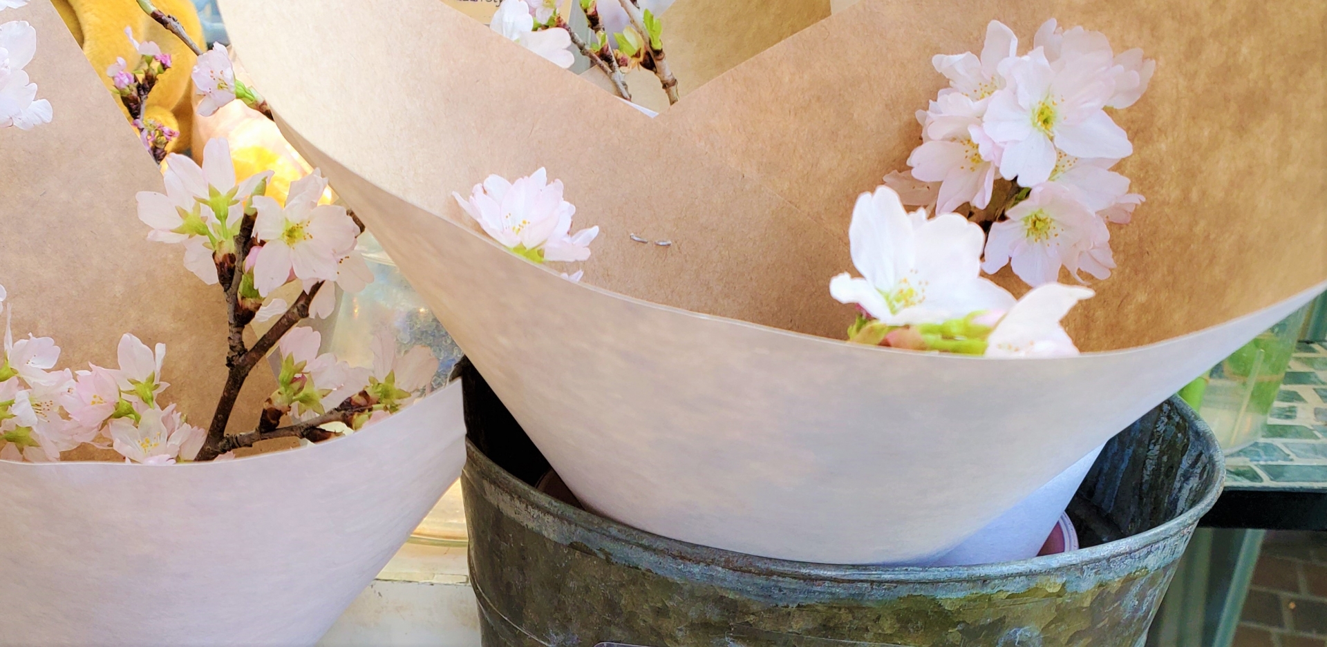 桜の切り花を長持ちさせる手入れの仕方 水あげ 延命剤 飾り方まとめ